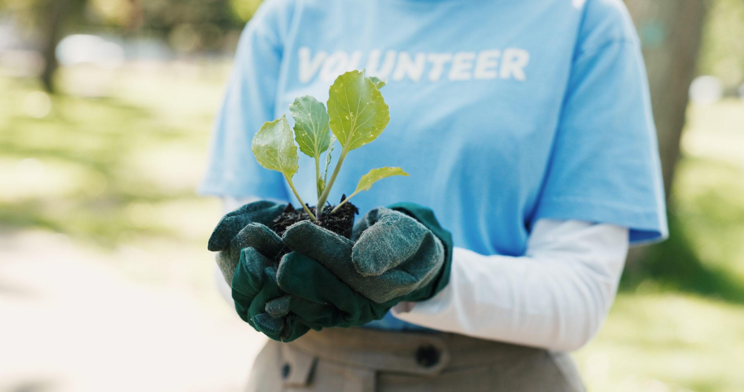 Volunteer holding plant in hands.