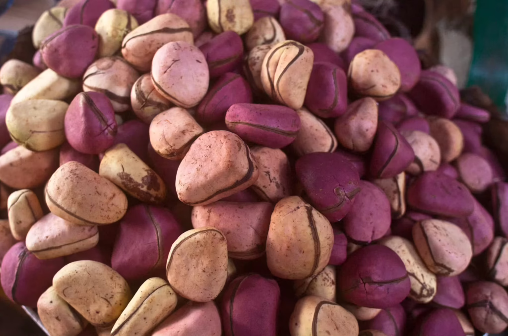 Red Kola Nut (credit: Cleveland Clinic)