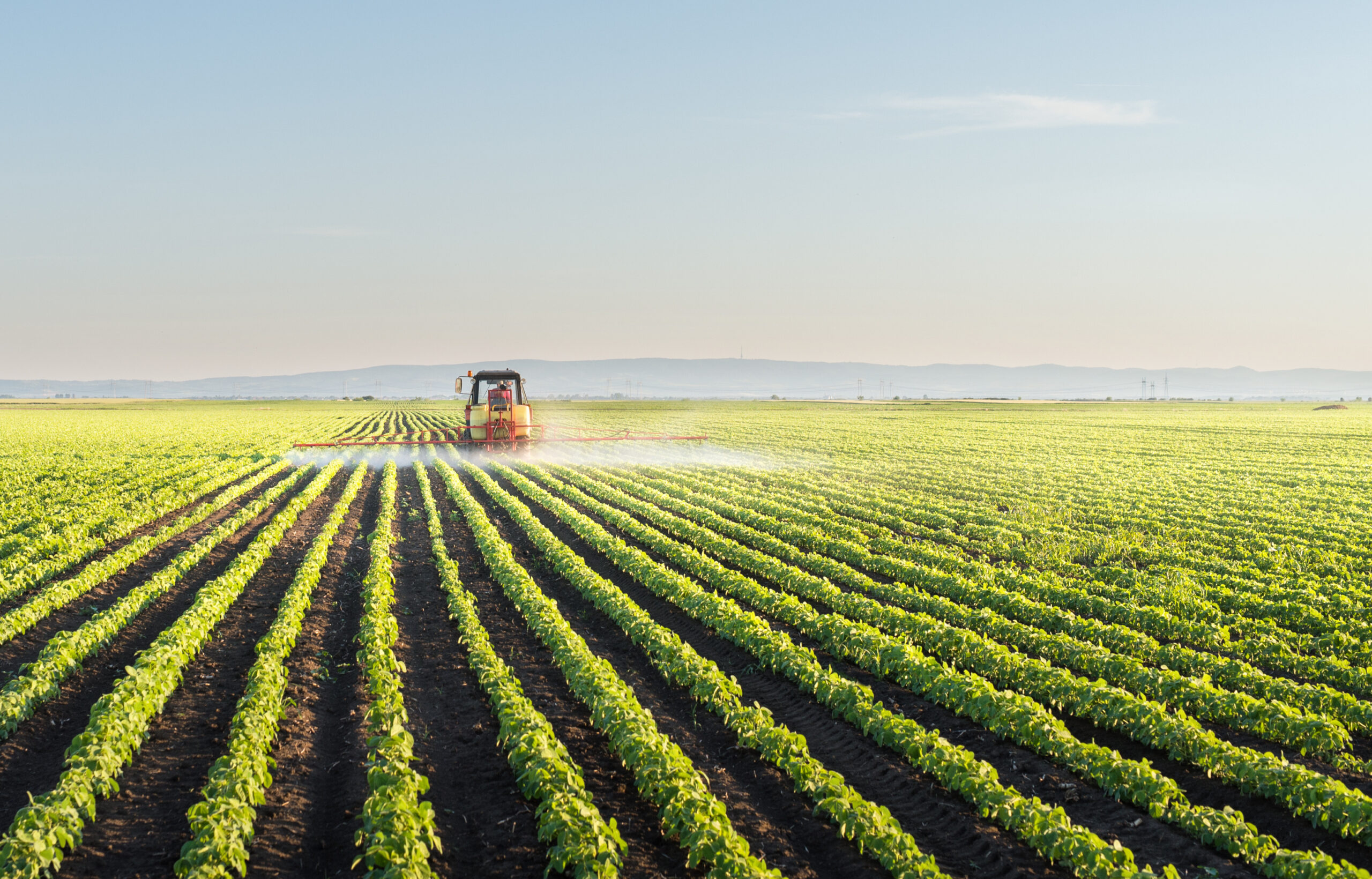 Tractor spraying soybean field